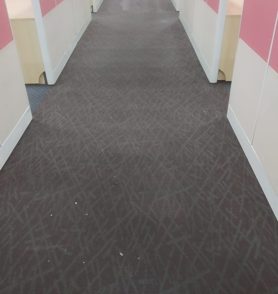 Corporate Carpet Shampooing